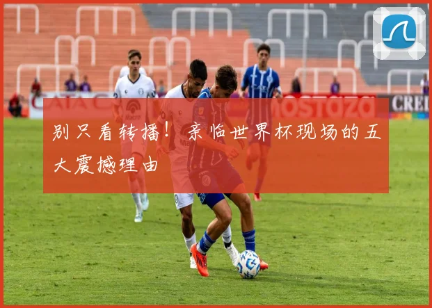 别只看转播！亲临世界杯现场的五大震撼理由