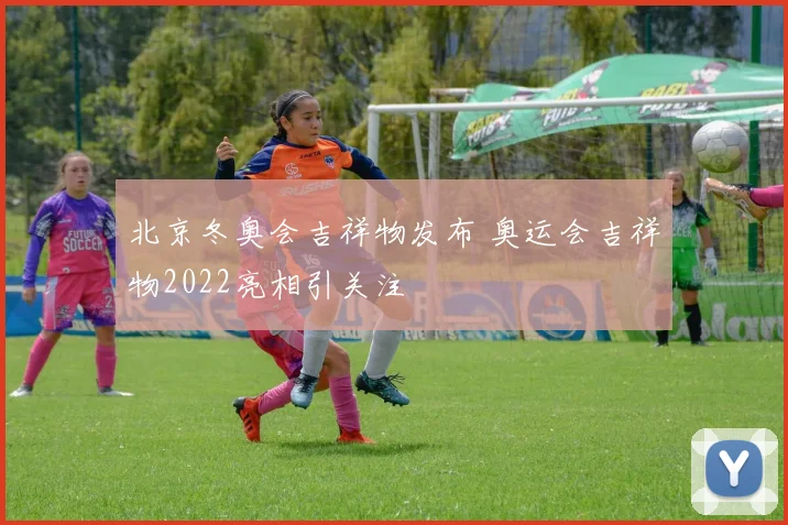北京冬奥会吉祥物发布 奥运会吉祥物2022亮相引关注